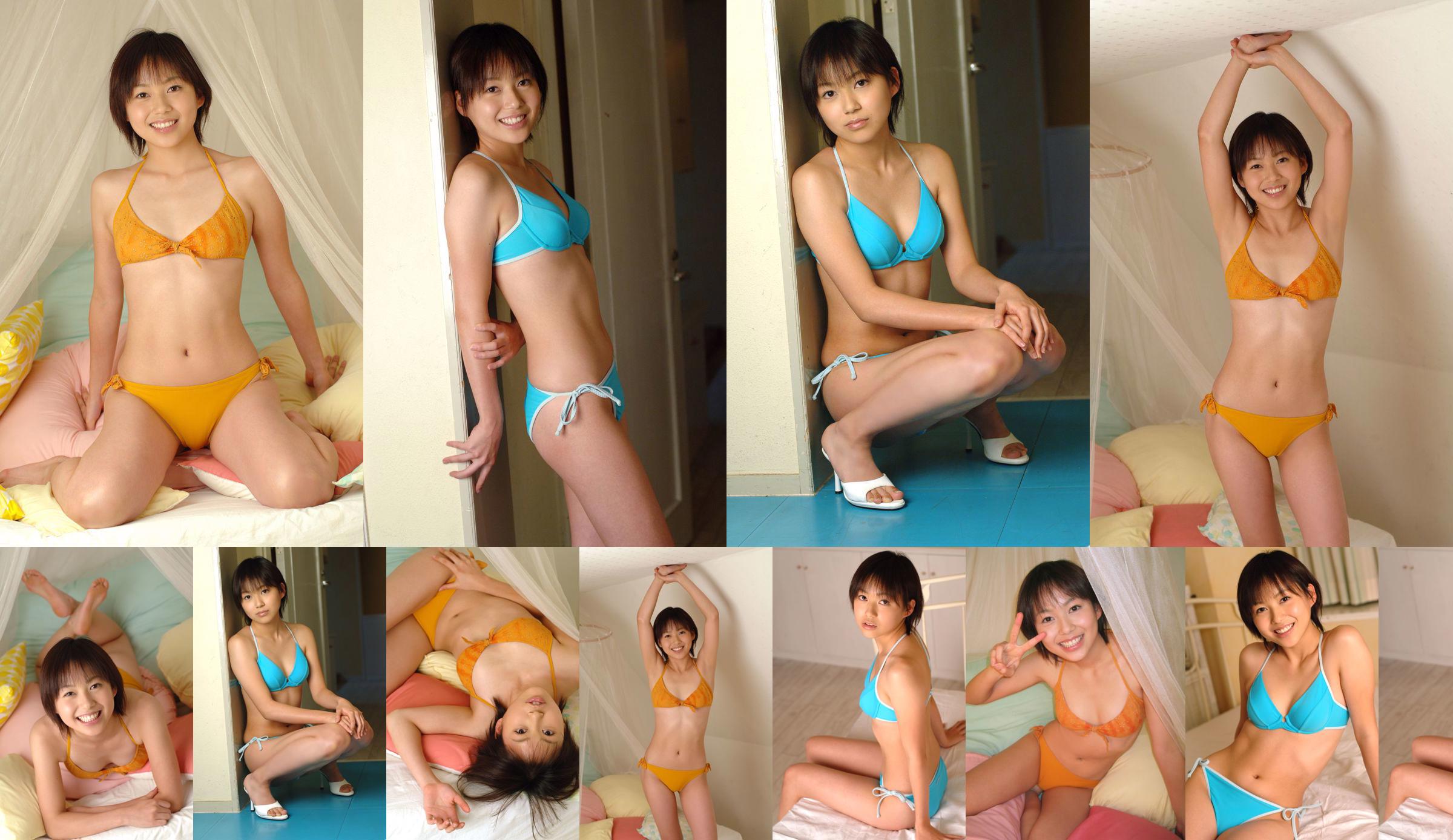 [DGC] NO.254 Ayano Mayama อายาโนะมายามะ No.2a0d0d หน้า 1