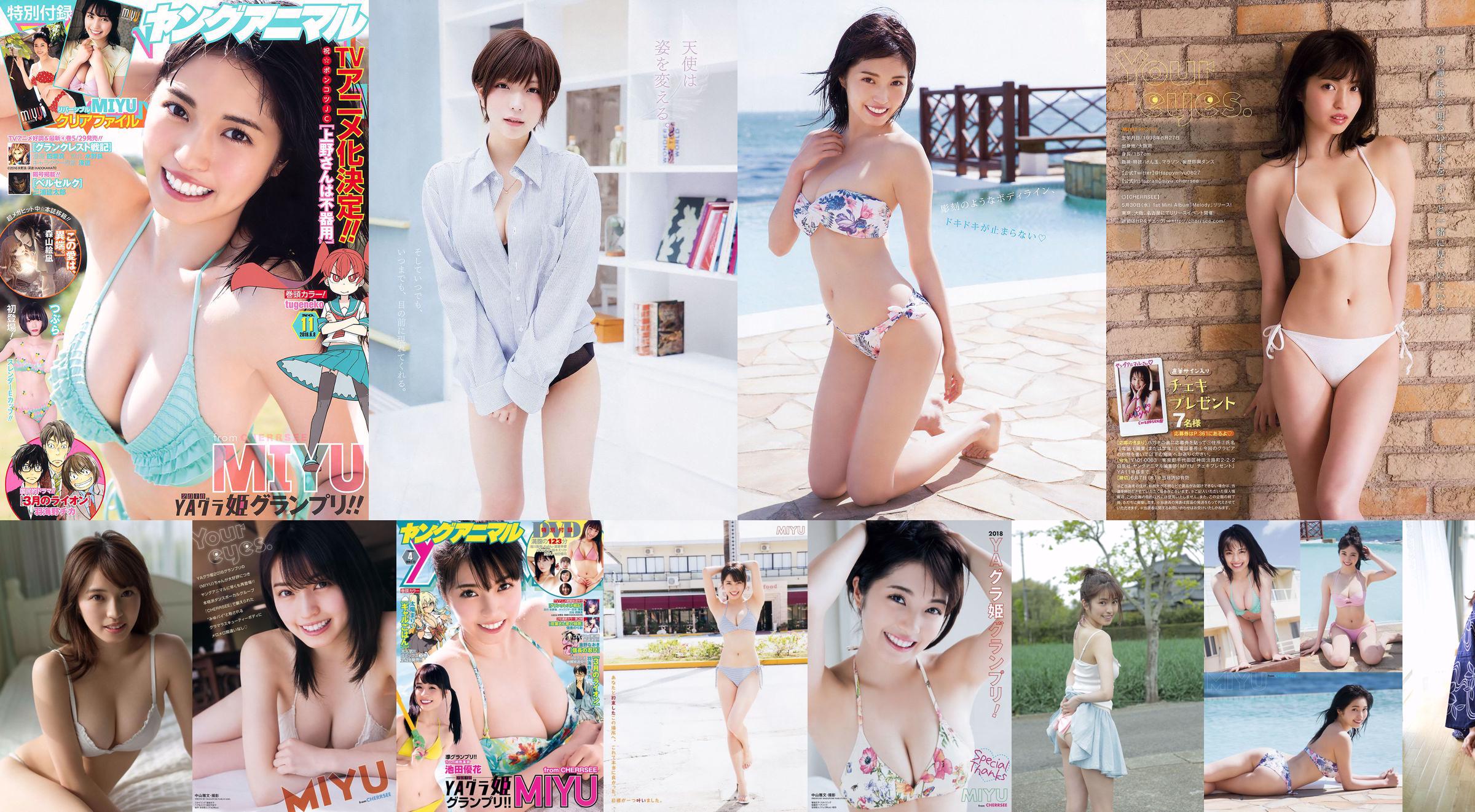 MIYU (み ゆ) "PIEDRA PRECIOSA" "Primavera を 先 取 り で [Amante 気 分 デ ー ト]" [WPB-net] No.216 No.9e9510 Página 40