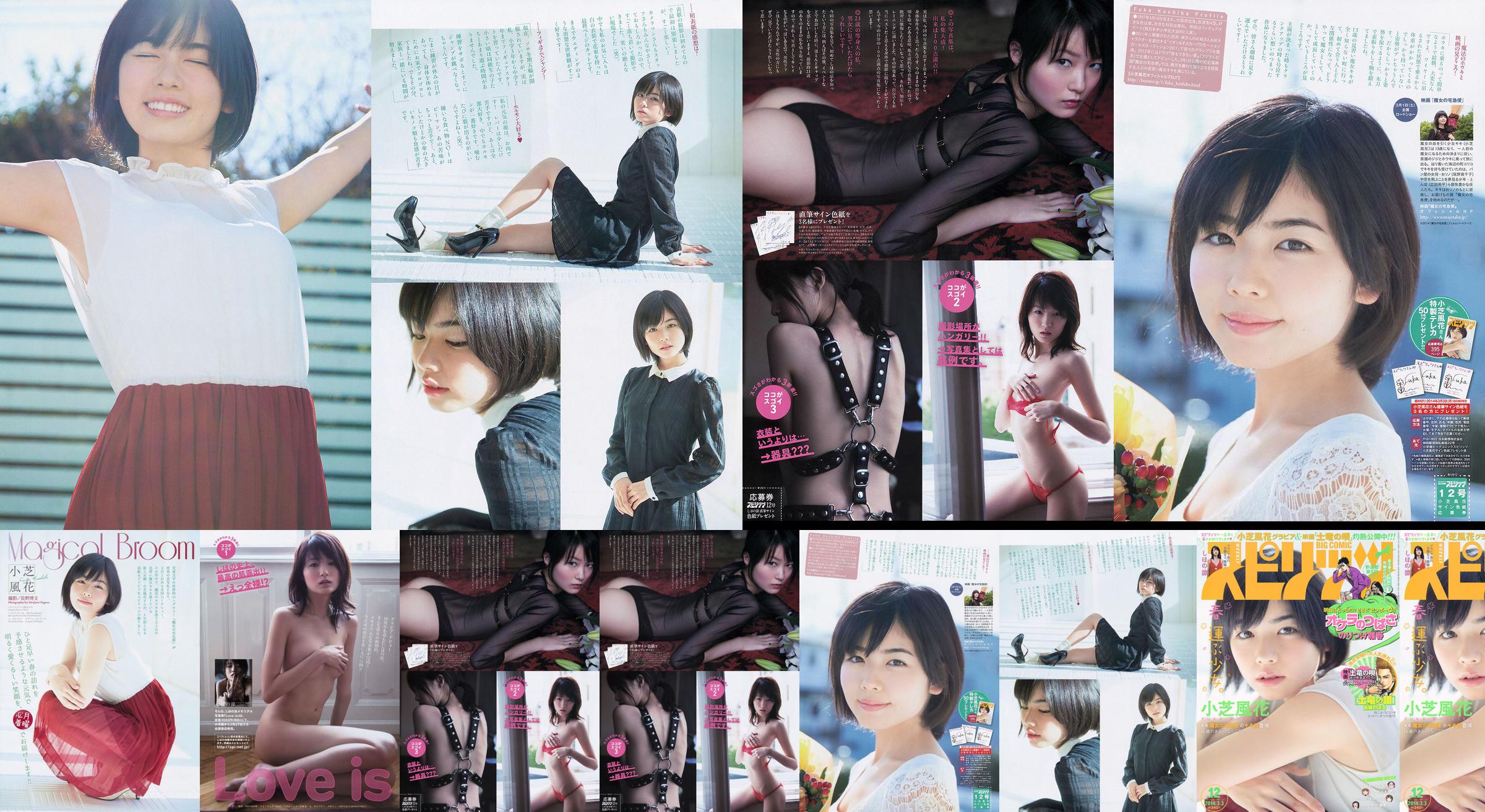 [Weekly Big Comic Spirits] Xiaoshiba Fuhua Ryo Shihono 2014 No.12 Photo Magazine No.92d30b Página 1